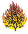 Burning bush