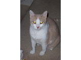 Photo of Sandy