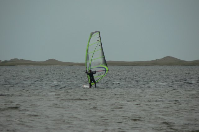 Windsurfer